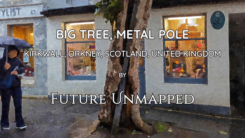 Hollowed-out, metal-reinforced sycamore - in vibrant heart of quaint, historic town with royal burgh status - holds over two centuries of bittersweet memories.