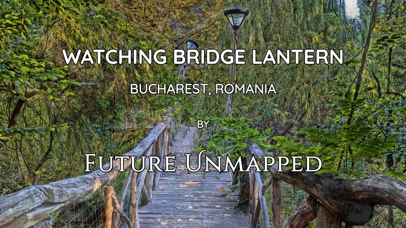 Abandoned, inaccessible wooden bridge - with rustic handrail and wire mesh barrier - impairs view of weary lamp post leaning beyond neglected greenery.